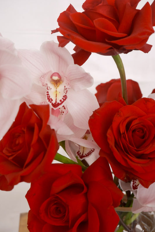 Vera | Red Rose & Pink Orchid Arrangement